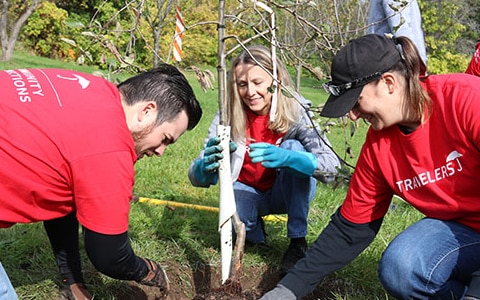 Three volunteers planting a tree.