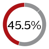 Other Named Executive Officers (NEOs): a pie chart showing performance-based equity is 45.5%.